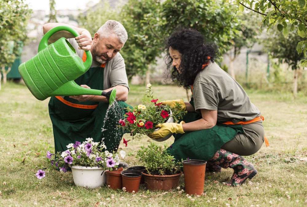 Bahçe Bakımı Neden Önemli?